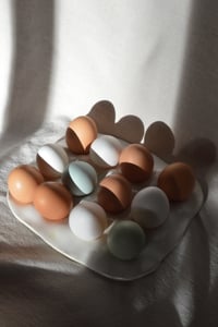 Image 4 of Egg Tray