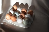 Image 1 of Egg Tray