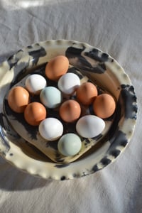 Image 11 of Egg Tray