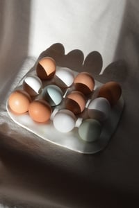Image 3 of Egg Tray