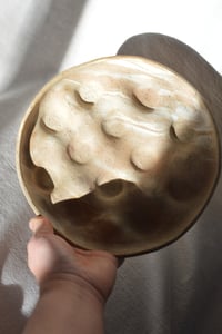 Image 16 of Egg Tray