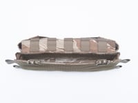 Image 2 of SIXTH PLACARD, DESERT TIGERSTRIPE