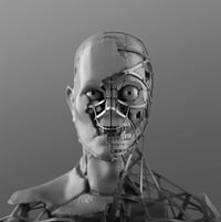 MONOGURUI uramaki-object: (THE WINTER GHOST)