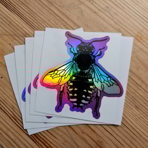 Anthidium holografic sticker