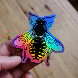 Anthidium holografic sticker