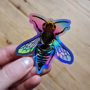 Coelioxys holografic sticker