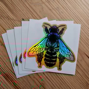 Dasypoda holografic sticker