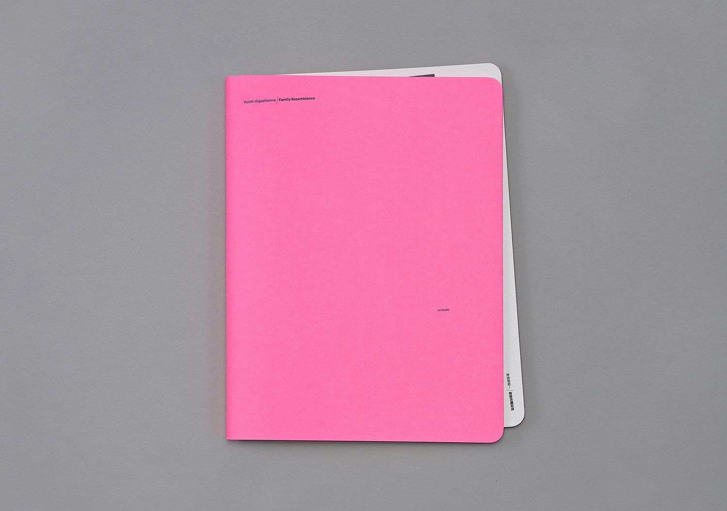 Image of Yuichi Higashionna / Family Resemblance