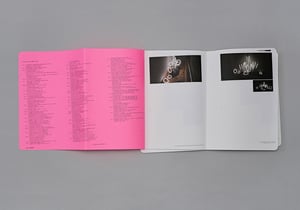 Image of Yuichi Higashionna / Family Resemblance