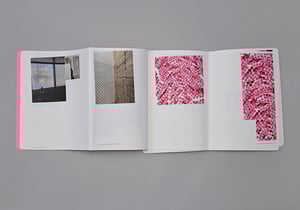 Image of Yuichi Higashionna / Family Resemblance