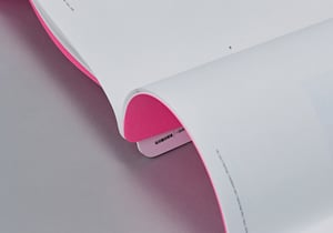 Image of Yuichi Higashionna / Family Resemblance