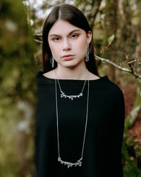 Image 2 of FORESTA GIROCOLLO