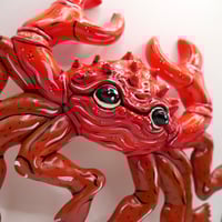 Image 3 of Crab of Innocent Pinch