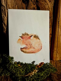 Image 3 of - PRINT - </br> Animaux à l'aquarelle </br> <FONT size="4pt">12x18cm</FONT>