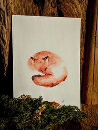 Image 4 of - PRINT - </br> Animaux à l'aquarelle </br> <FONT size="4pt">12x18cm</FONT>