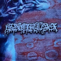 Snorlax "Logo" Patch