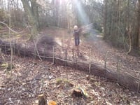 Image 1 of Woodland Revival Series - Coppice Weekend.  24th and 25th January 2026