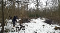 Image 4 of Woodland Revival Series - Coppice Weekend.  24th and 25th January 2026
