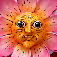 Image 2 of Gazing Daisy