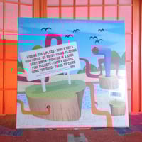 Image 2 of The Shins - Chutes Too Narrow