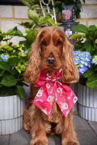 Image 2 of Rudolph - Dog Sailor Bow