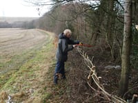 Image 3 of Woodland Revival Series - Hedgelaying Weekend.  March 7th and 8th 2026