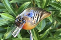 Image 11 of SPEEDBAITS Custom Airbrushed Crankbait 302