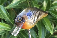 Image 13 of SPEEDBAITS Custom Airbrushed Crankbait 302