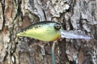 Image 14 of SPEEDBAITS Custom Airbrushed RAPALA WIGGLE WART CLONE 9071
