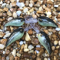 Image 5 of SPEEDBAITS Custom Airbrushed RK55 Crankbait 5295