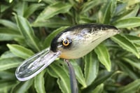 Image 10 of SPEEDBAITS Custom Airbrushed RK55 Crankbait 5295
