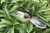Image 11 of SPEEDBAITS Custom Airbrushed RK55 Crankbait 5295