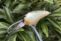 Image 12 of SPEEDBAITS Custom Airbrushed RK55 Crankbait 5295