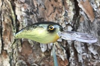 Image 13 of SPEEDBAITS Custom Airbrushed RK55 Crankbait 5295