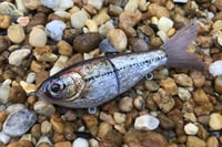 Image 1 of SPEEDBAITS Custom Airbrushed Glide Bait 5430