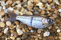 Image 2 of SPEEDBAITS Custom Airbrushed Glide Bait 5430