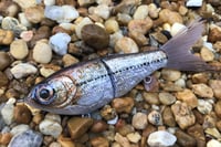 Image 5 of SPEEDBAITS Custom Airbrushed Glide Bait 5430