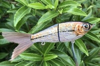 Image 11 of SPEEDBAITS Custom Airbrushed Glide Bait 5430