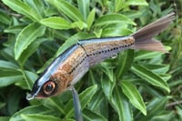 Image 15 of SPEEDBAITS Custom Airbrushed Glide Bait 5430