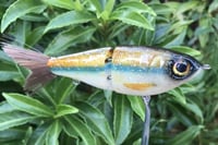 Image 7 of SPEEDBAITS Custom Airbrushed Glide Bait 5475