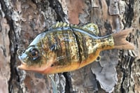 Image 7 of Custom Airbrushed Glide Bait 926