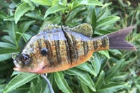 Image 15 of Custom Airbrushed Glide Bait 926