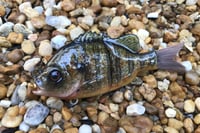 Image 2 of Custom Airbrushed Glide Bait 926