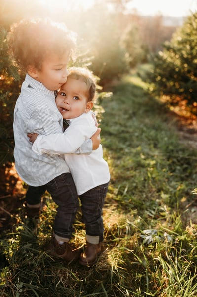 Image of DUMAS TREE FARM MINIS 2025