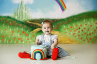Image 4 of FLASH SALE - Deluxe Cake Smash