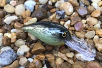 Image 2 of SPEEDBAITS Custom Airbrushed RAPALA WIGGLE WART CLONE 9071