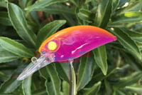 Image 10 of SPEEDBAITS Custom Airbrushed Duo Realis M65 8A KO 1655