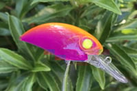 Image 13 of SPEEDBAITS Custom Airbrushed Duo Realis M65 8A KO 1655