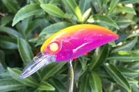 Image 17 of SPEEDBAITS Custom Airbrushed Duo Realis M65 8A KO 1655