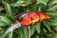 Image 1 of SPEEDBAITS Custom Airbrushed Duo Realis M65 8A KO 5462